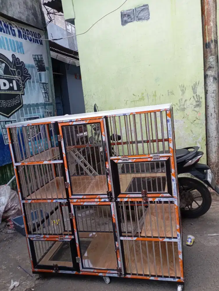 Kandang Kucing Shella