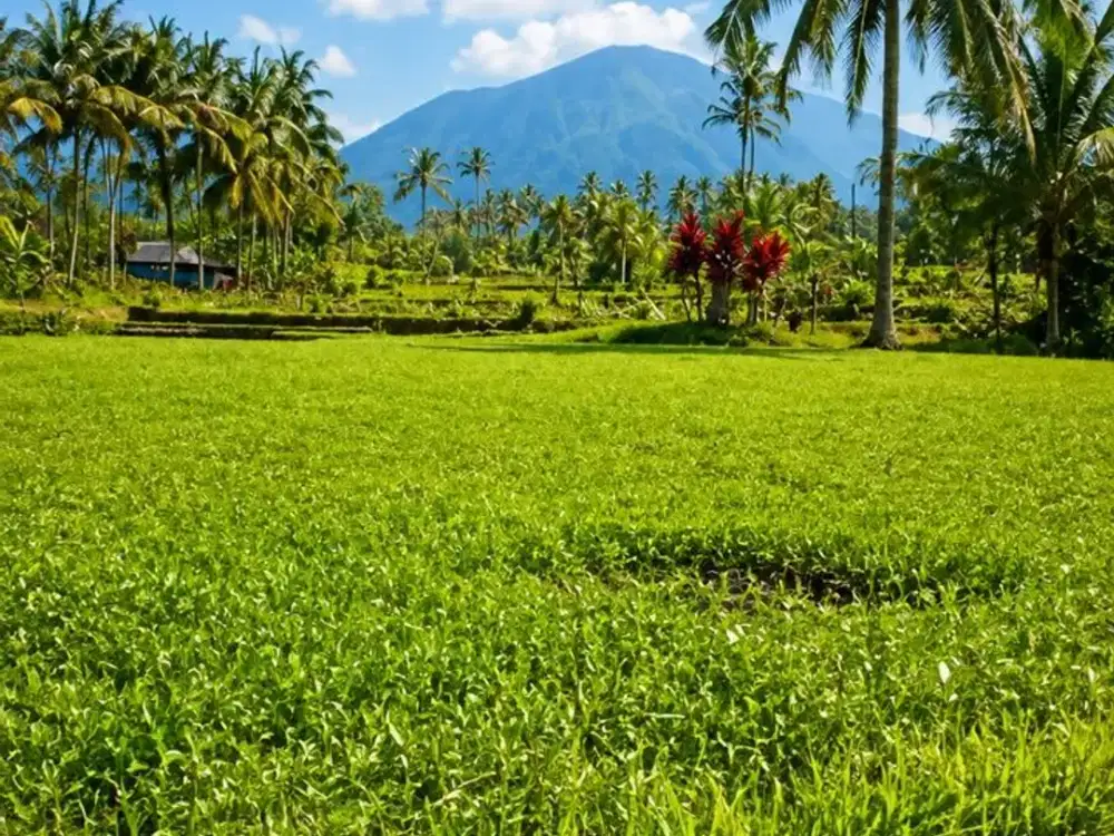 Tanah Luas 33Are View Gunung Batukaru Baturiti Tabanan,Bali