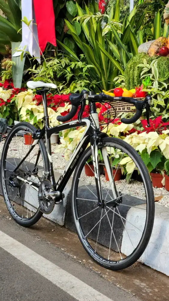 Road Bike Carbon / roadbike