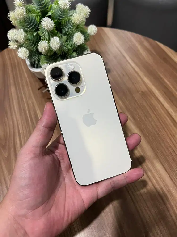 Iphone 14 Pro 128gb Alloperator Inter Mulus