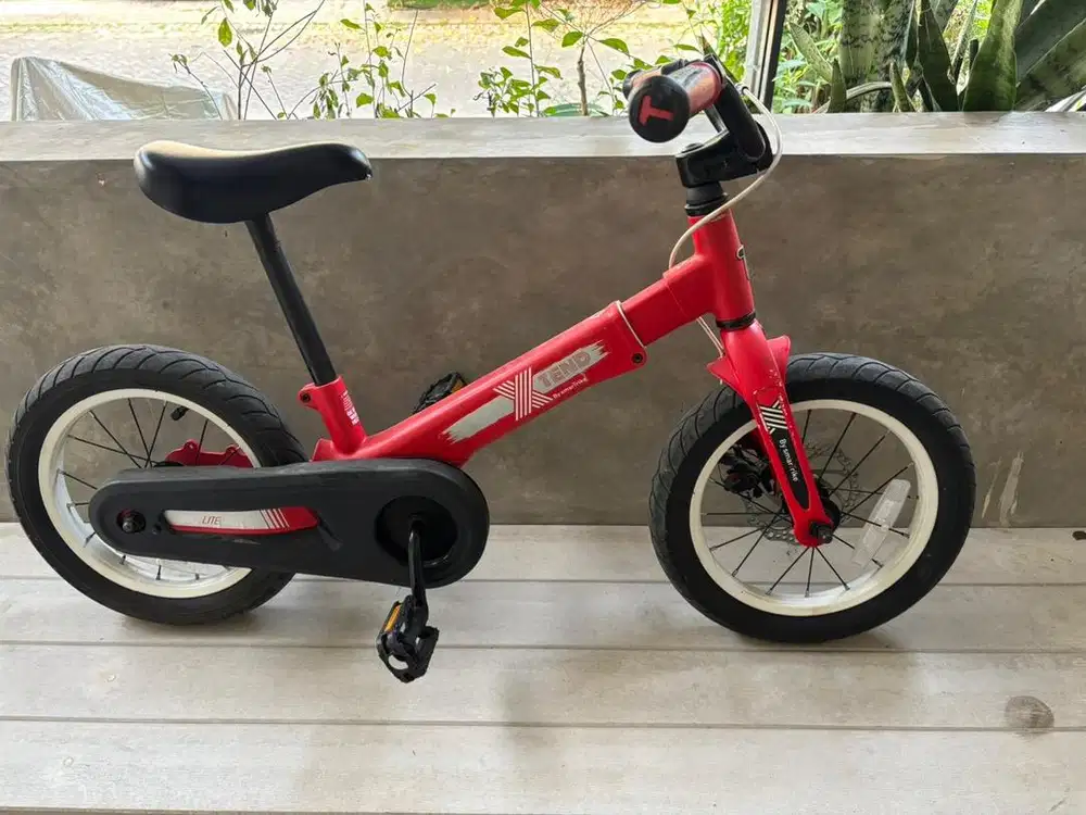 Smartrike Xtend Bike