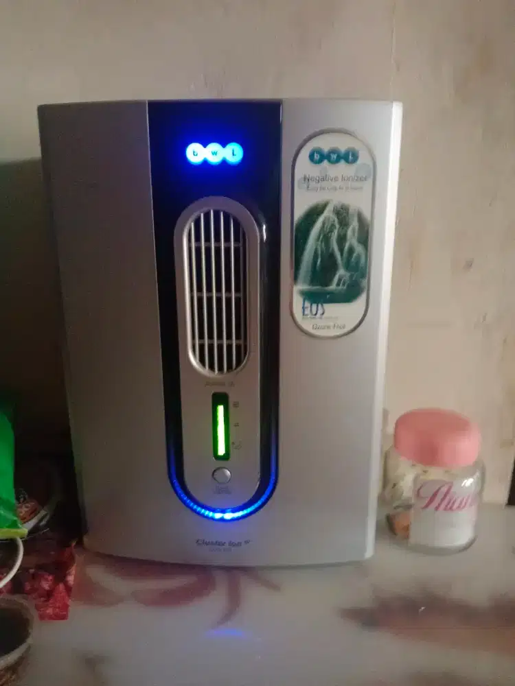 Negative ionizer
