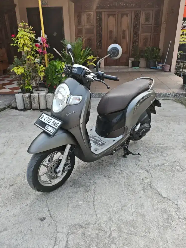 HONDA SCOOPY 2019V