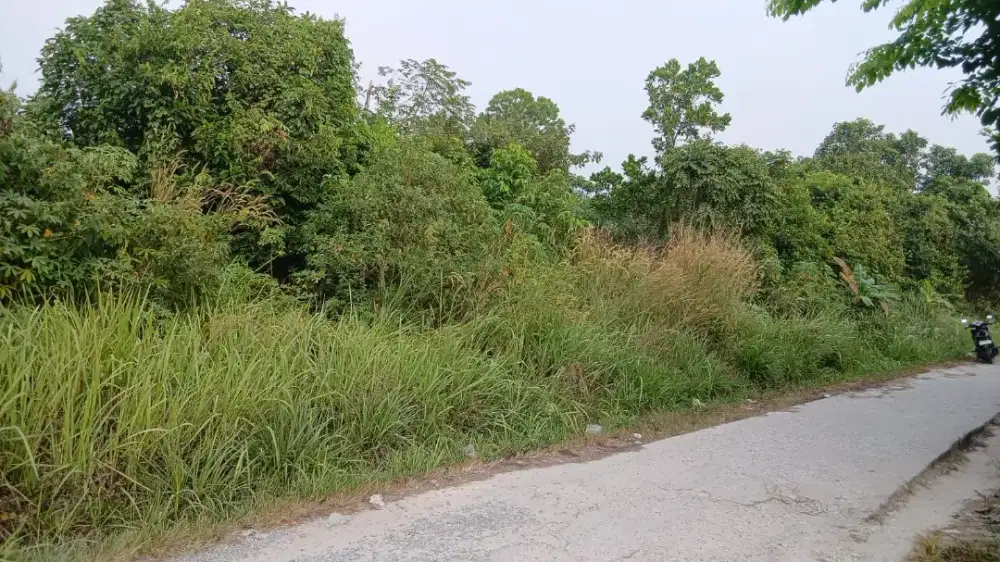 Dijual Cepat Tanah
