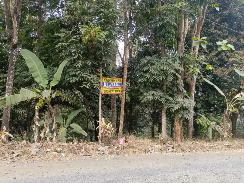 DIJUAL KEBUN DUREN 5.000m², Kebun Produktif dengan banyak varian buah