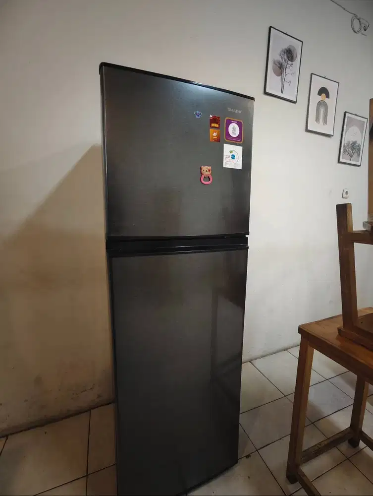 Kulkas Sharp 2 pintu 256 liter