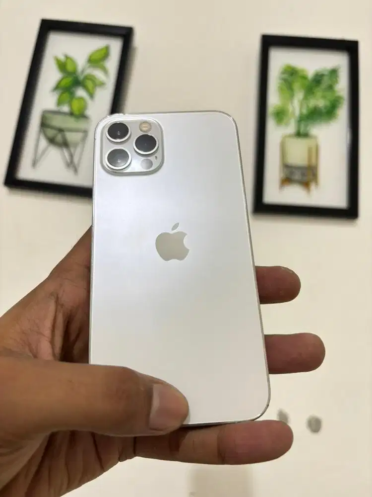 iPhone 12 Pro 256GB SILVER