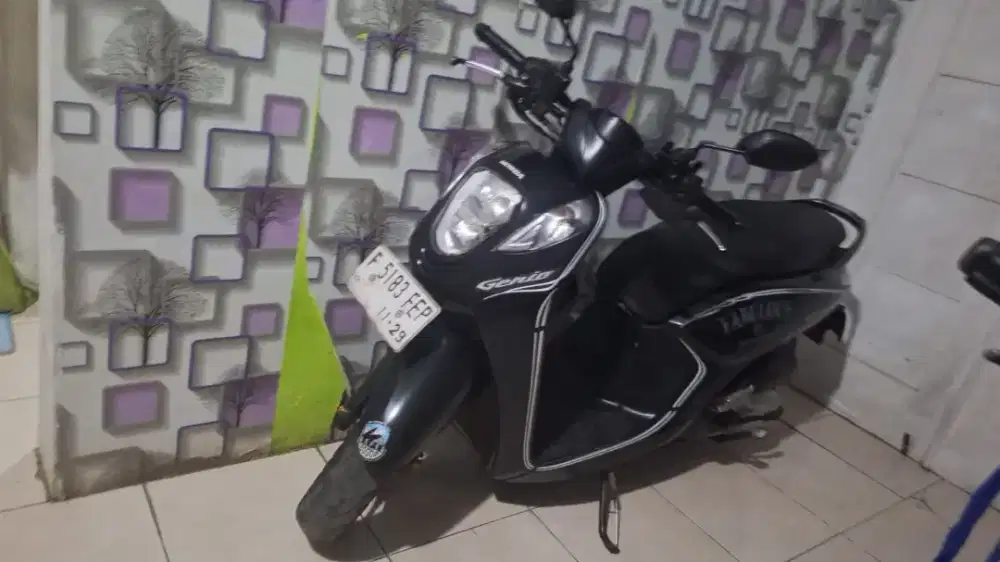 Genio stylish 2019