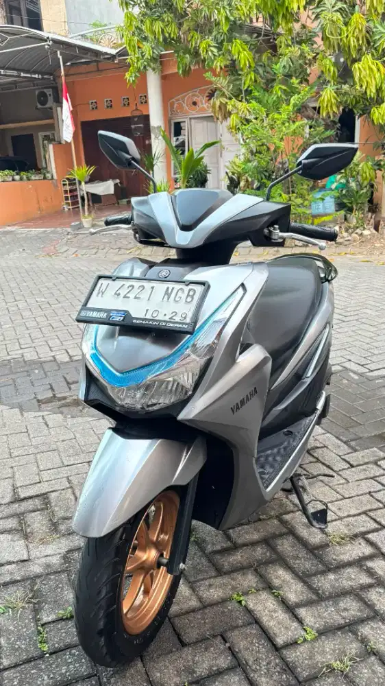 Yamaha Freego Type S