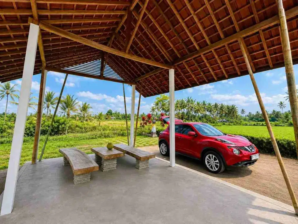 For Sale Tanah Kebun 33Are View Sawah Baturiti Tabanan Jl5meter