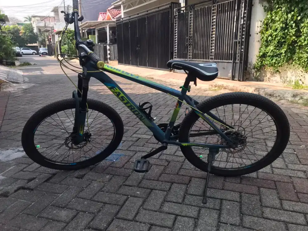 Sepeda Gunung Fastron 260 DT