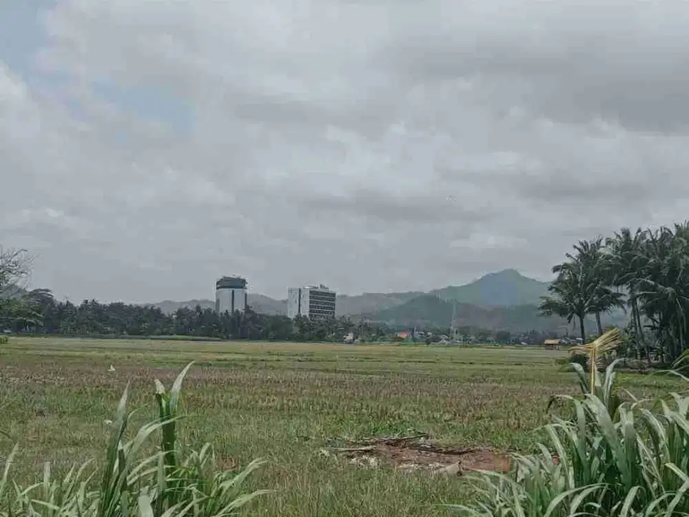 Tanah Dijual view Sawah dan Perbukitan Menoreh dekat Bandara YIA