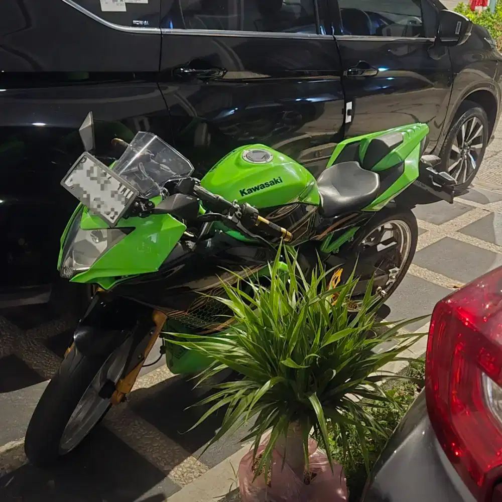 NINJA SL 250 MONO