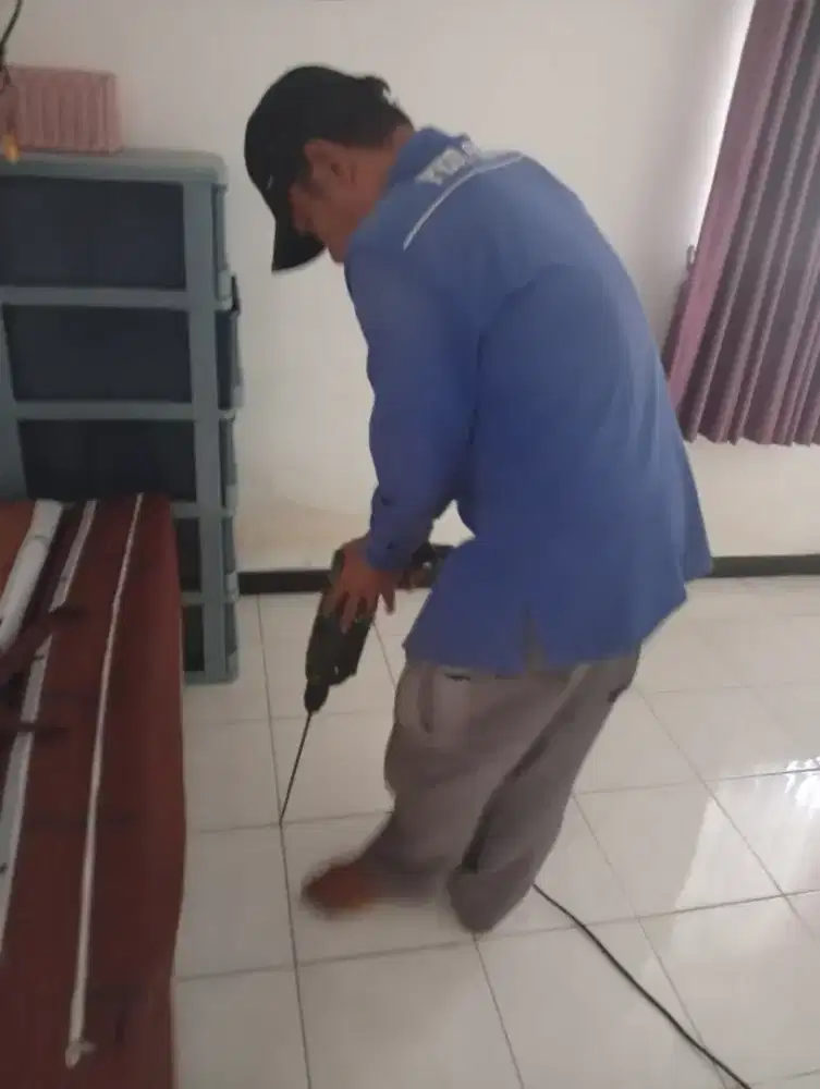 Jasa anti rayap dan suntik rayap