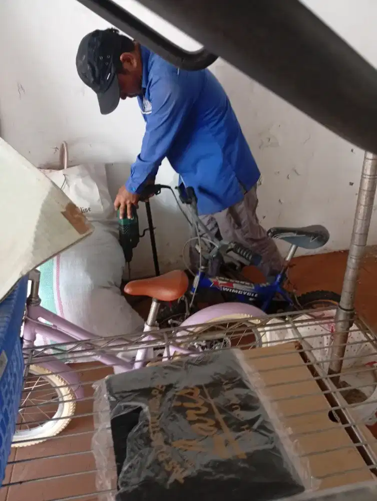 Anti rayap murah bergaransi Jabodetabek