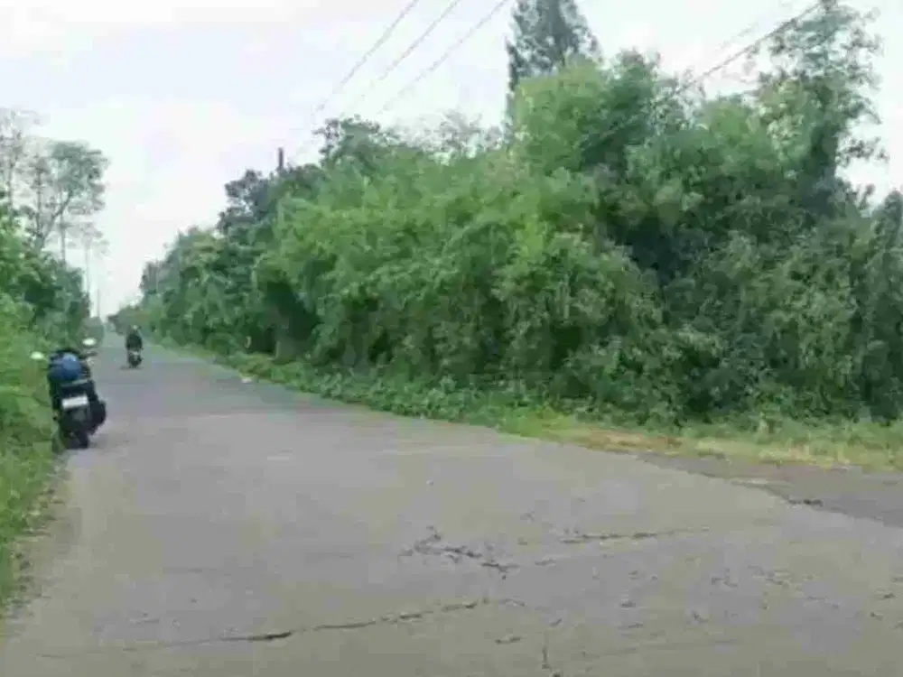 Dijual Tanah Hook Zona Industri di Sebani Tanjangrono Ngoro Mojokerto SHM On Hand