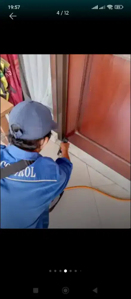 Anti rayap kelapa gading