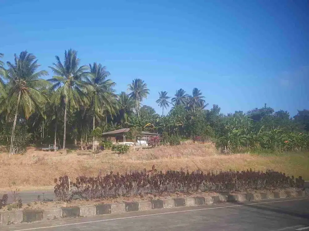 DIJUAL CEPAT TANAH STRATEGIS DAERAH JL SBY, HARGA SANGAT MURAH