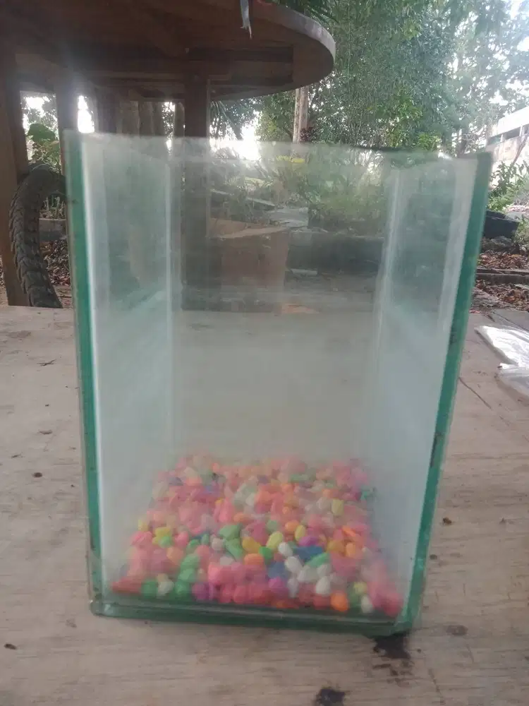Aquarium kecil murah