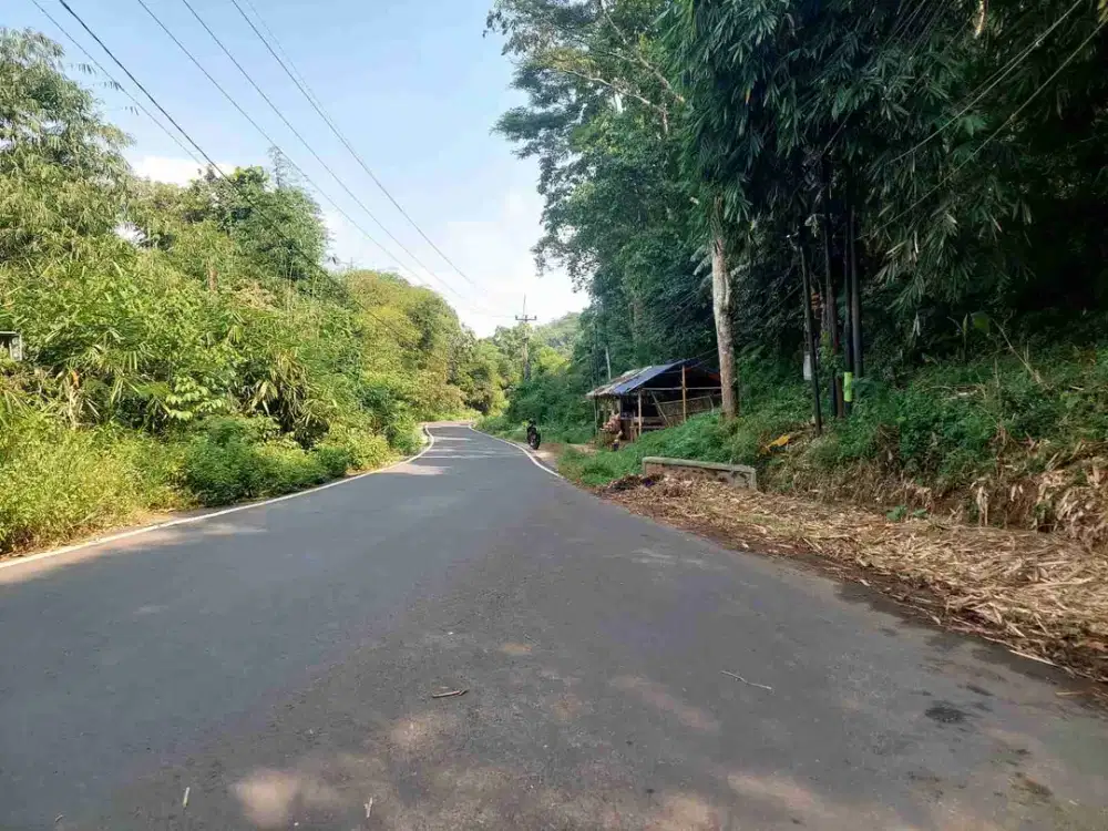 jual Kebun