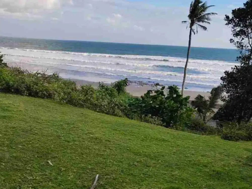 jual tanah los pantai balean beach selemadeg barat.lt 78 are.harga 400/ are
