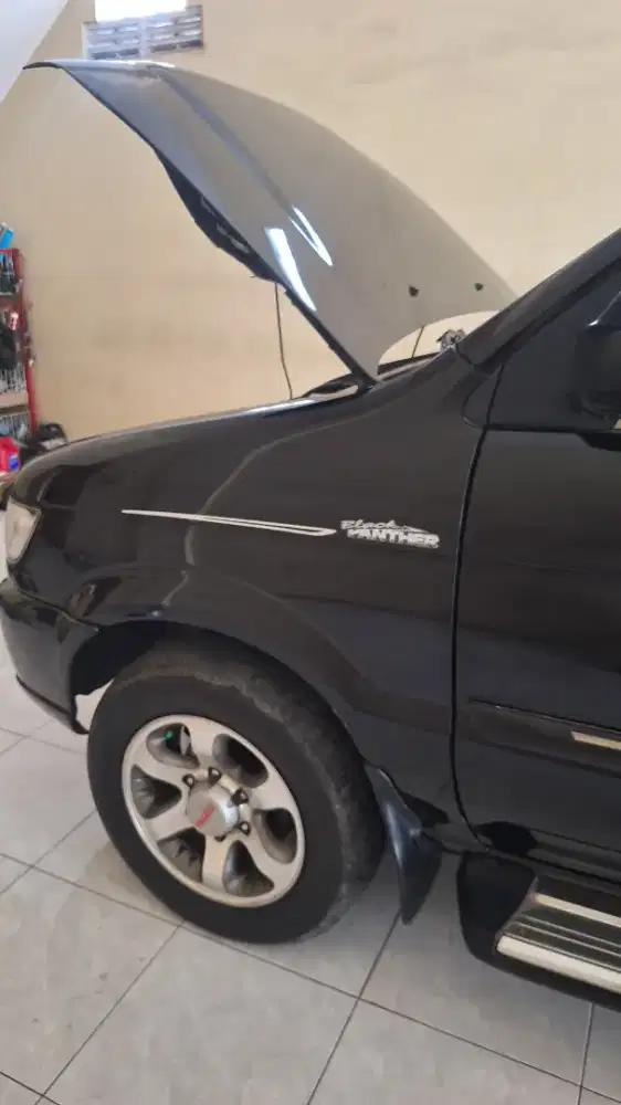 LS black panther 2004 manual