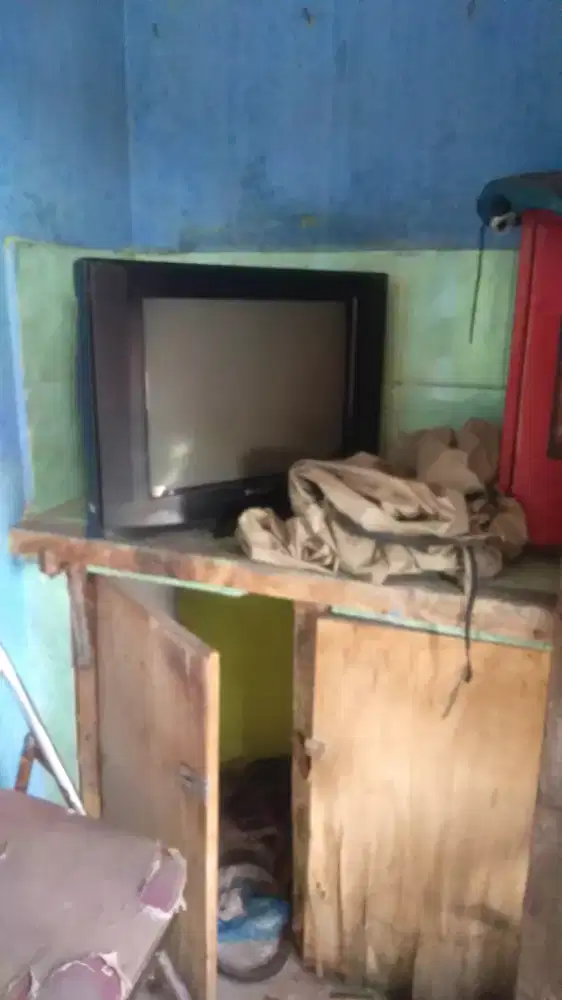Tv matot 21 inch na