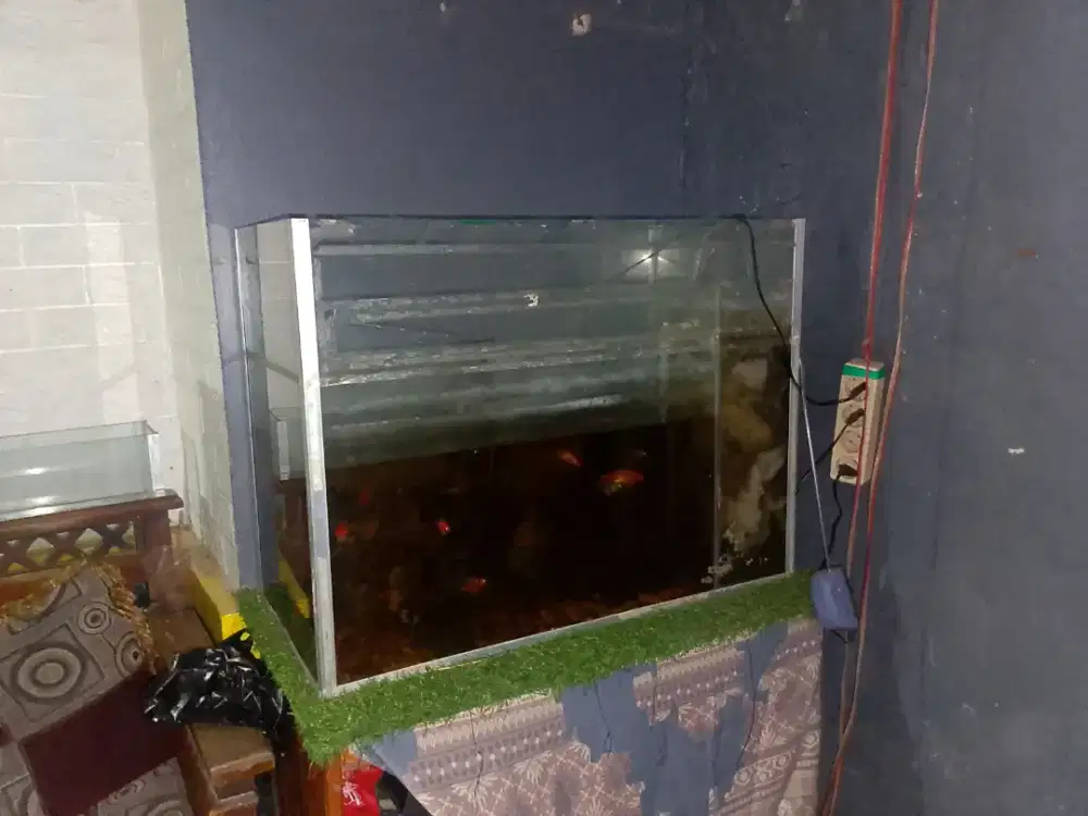 Jual Aquarium  bekas