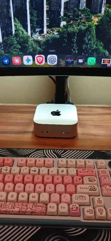 Mac Mini M4 16/256