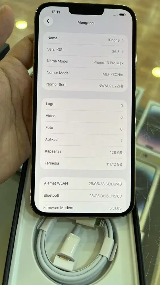 Iphone 13 pro max