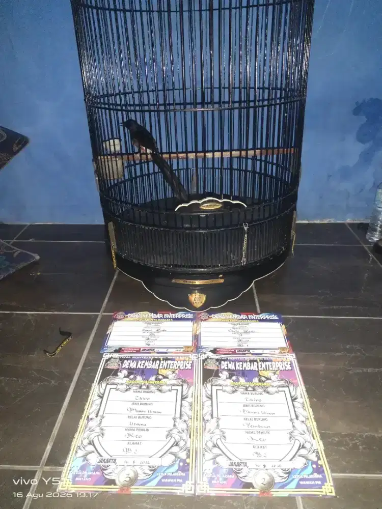 Murai Prestasi terbaru 16-08-26