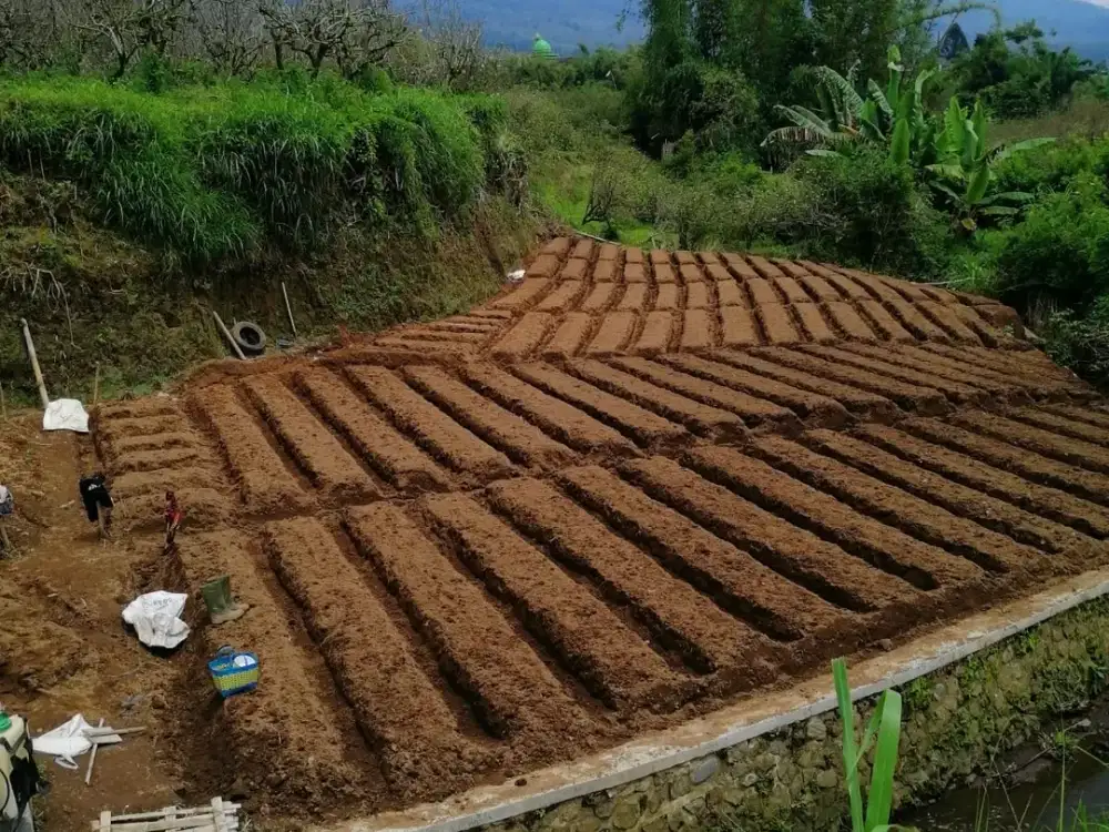 Kebun subur di Batu Jawa Timur