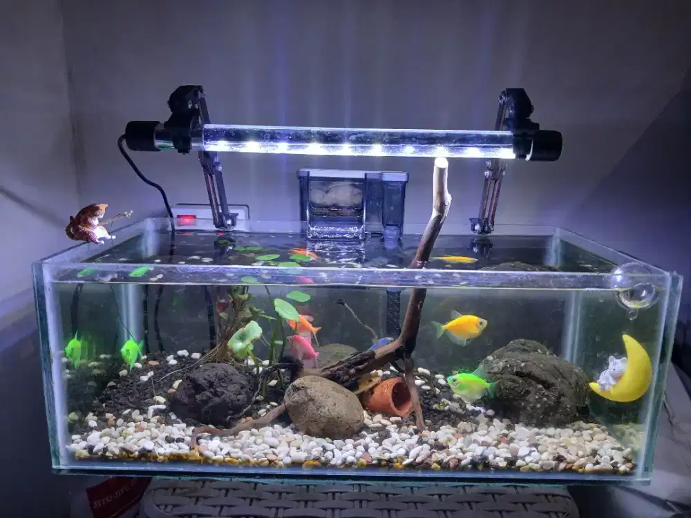Aquarium set Ikan