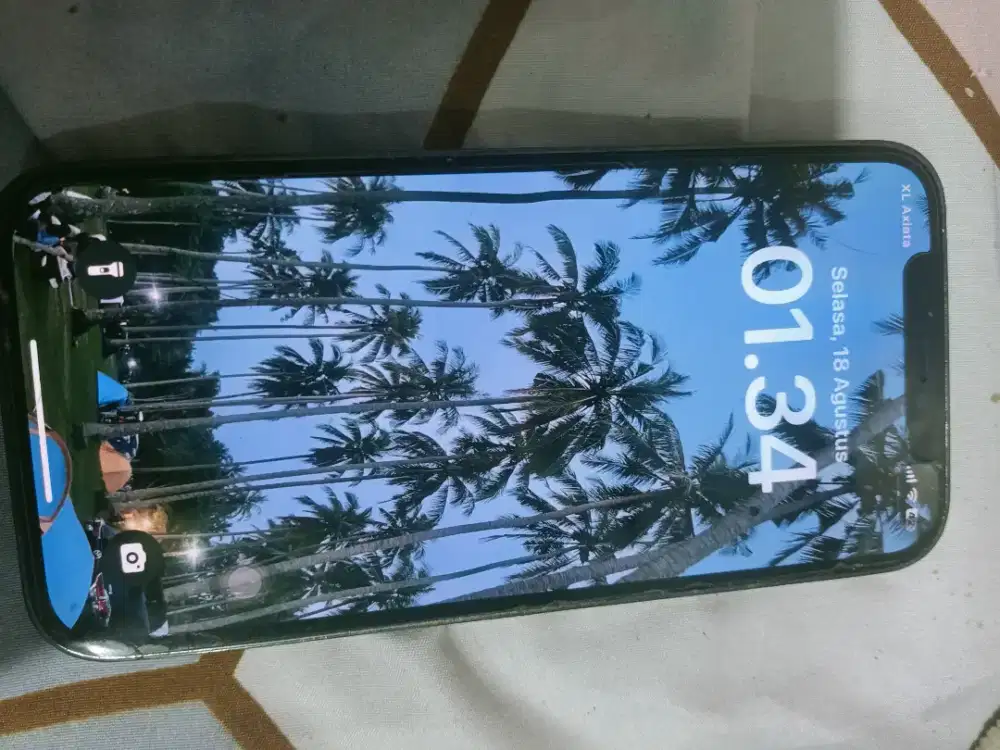 iPhone inter 12pro