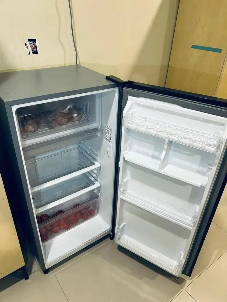 Freezer Polytron