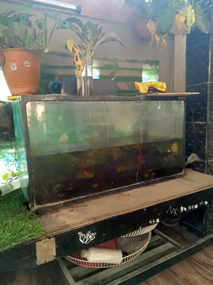 di jual satu buah aquarium ukuran 80 cm