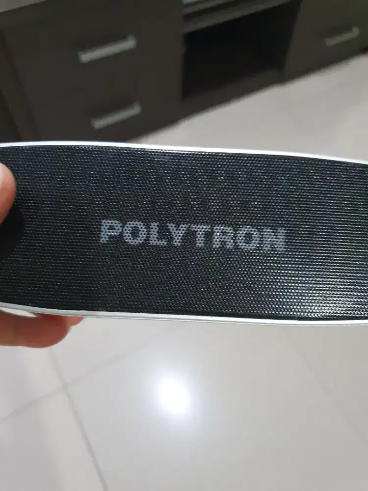 Polytron portable audio speaker