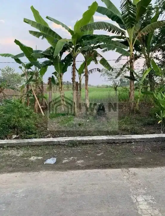 Tanah Strategis Dekat Jalan Raya DPU