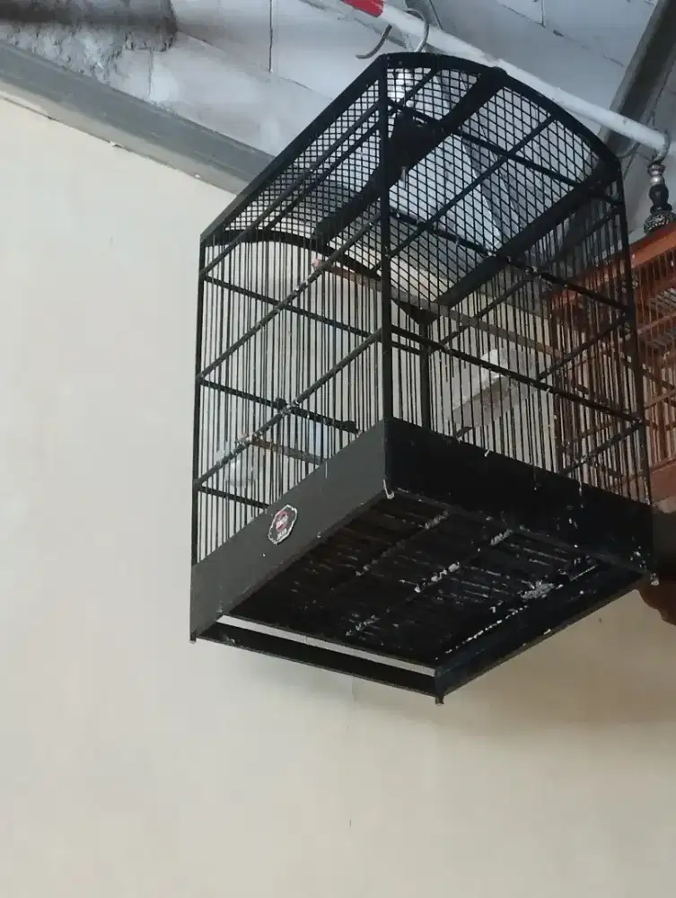 Jual kandang burung 100ribu aja