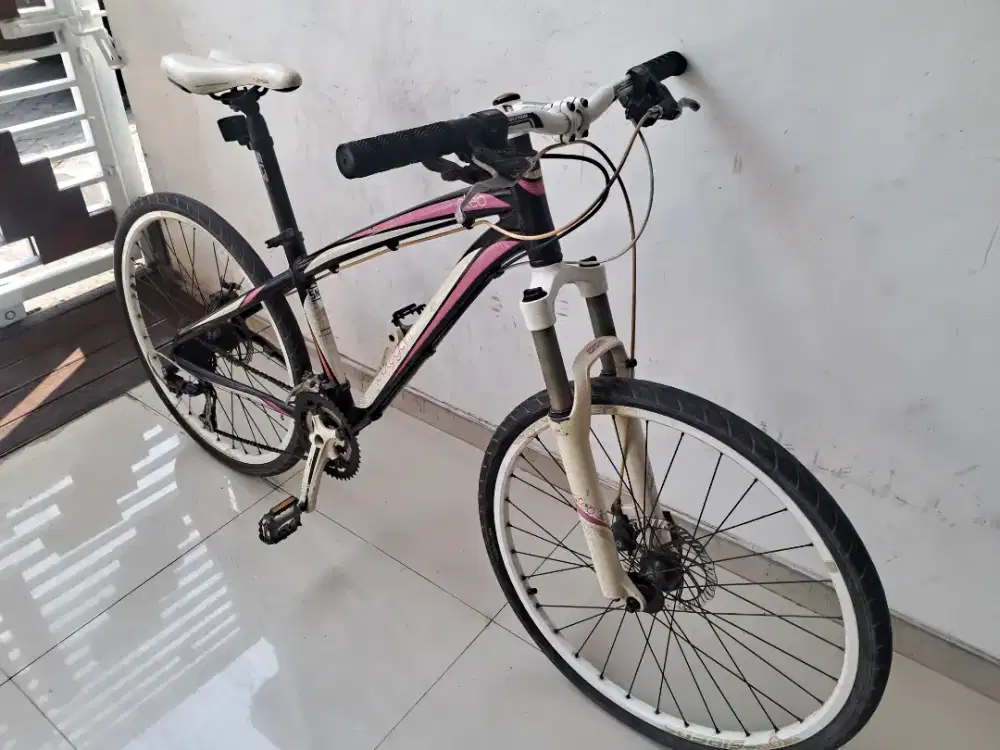 Polygon Cleo 3.0 Original
