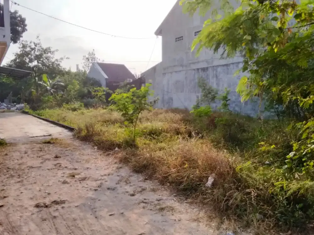DiJual Cepat BU Tanah 990m² SHM Pekarangan