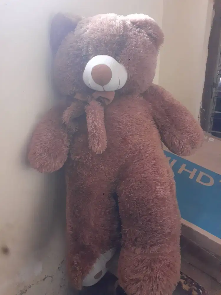 Boneka bear besar