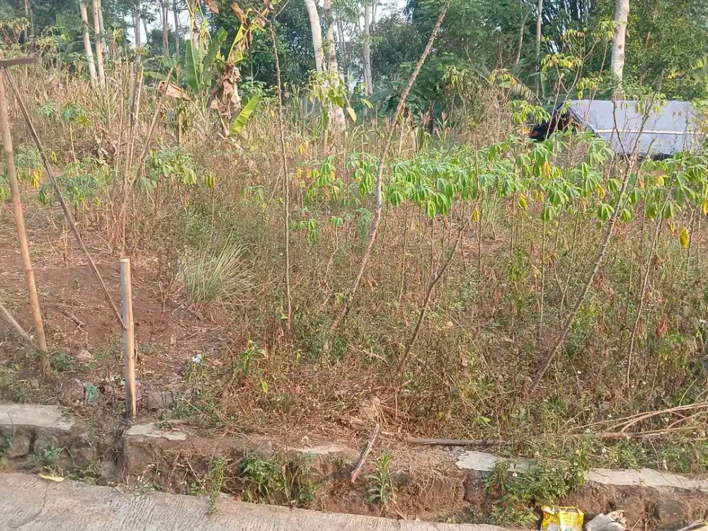 jual Tanah
