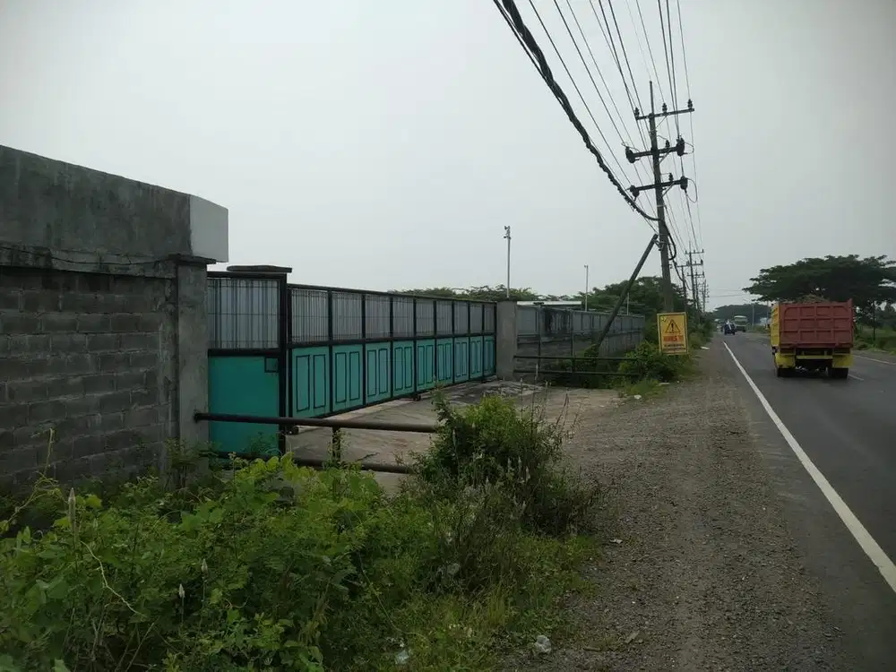 Di Jual Tanah 15.550 m2 Di Gresik Akses Nol Jalan Pagar Keliling SHM