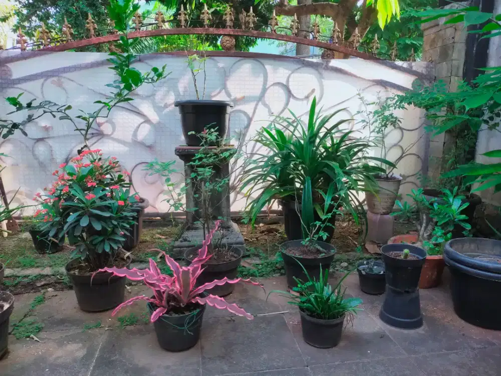 Jasa perapihan dan kenyamanan Rumah