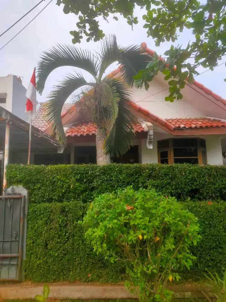 Rumah si kota bogor