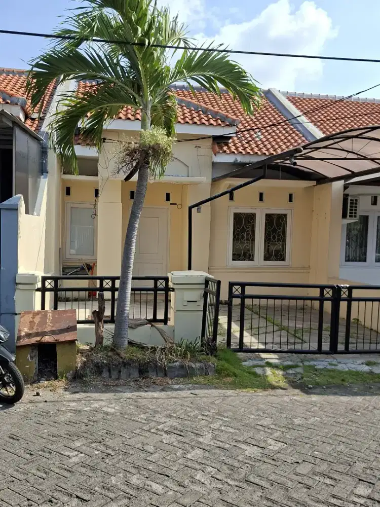 DISEWAKAN RUMAH DI MEDOKAN ASRI UTARA - DAERAH RUNGKUT