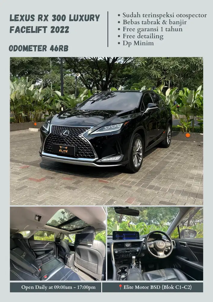 Lexus RX 300 Luxury Facelift 2022