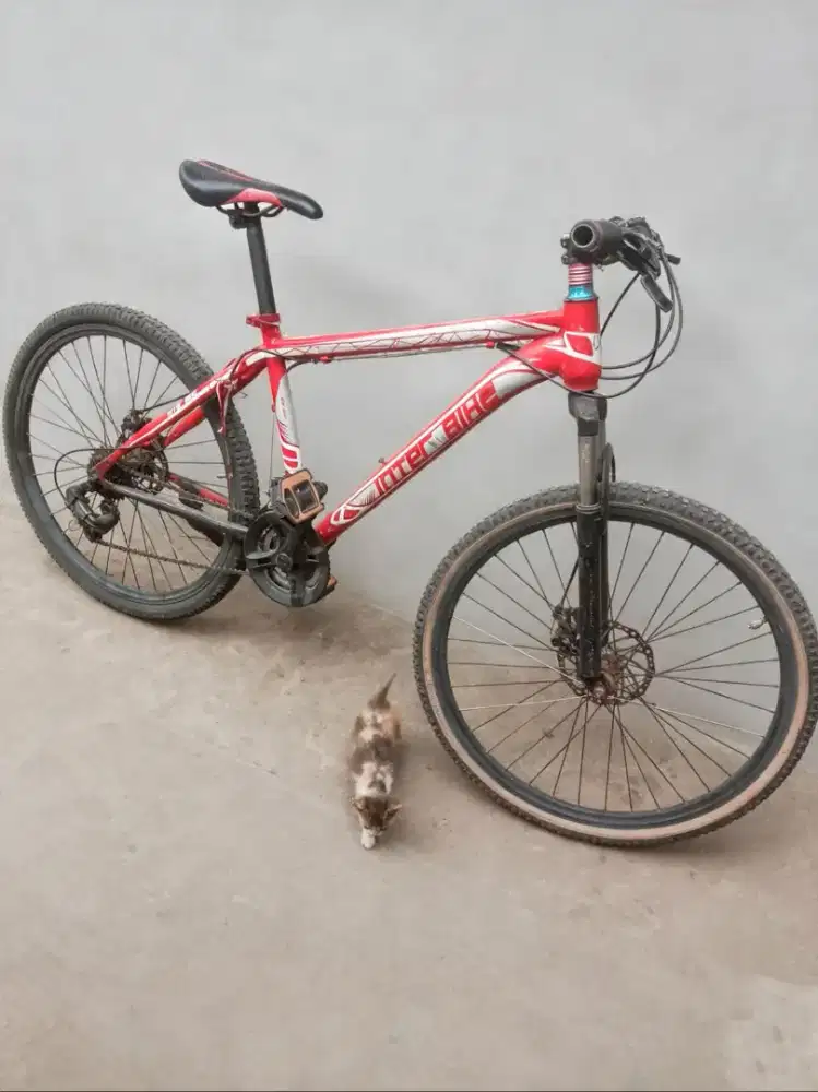 Sepeda gunung MTB  uk26 bekas