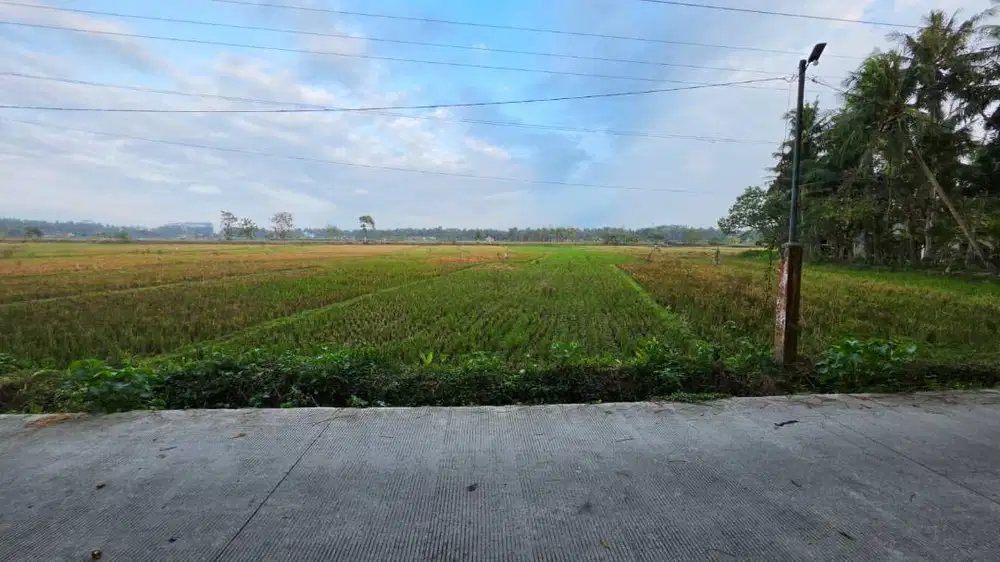 Dijual Tanah Tegalan & Sawah Milik Pribadi 5 Menit Ke Bandara NYIA
